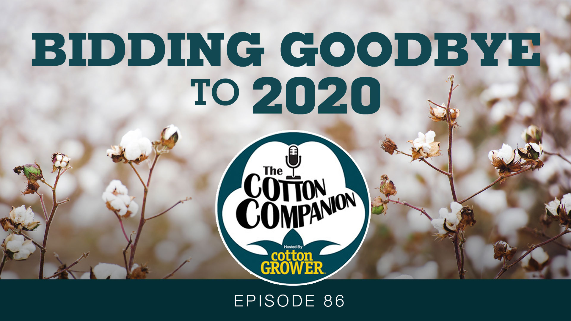 Bidding Goodbye to 2020