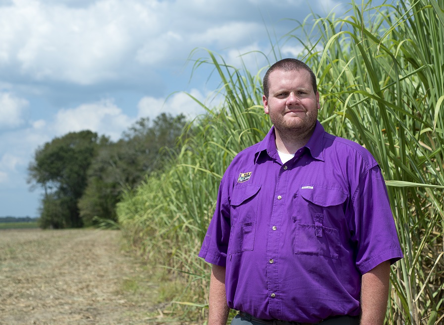 Foster Named LSU AgCenter Cotton Specialist