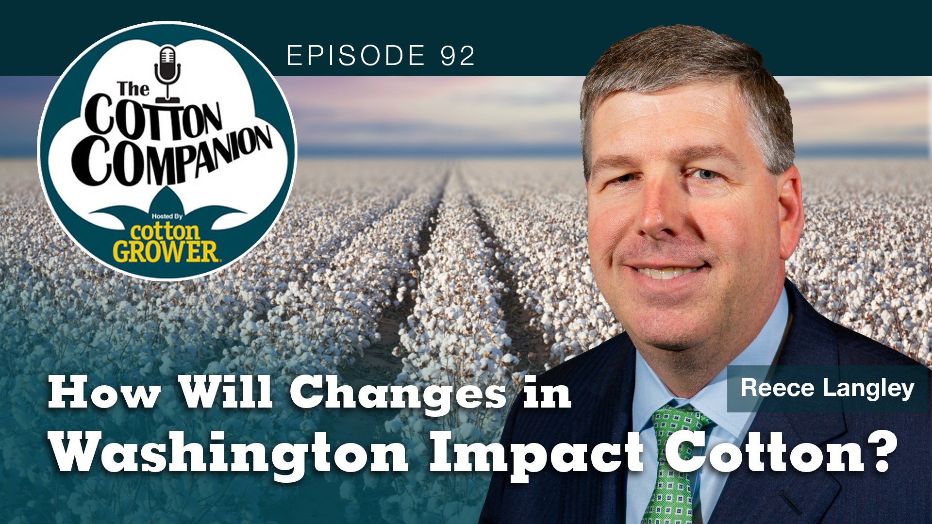 How Will Changes in Washington Impact Cotton?