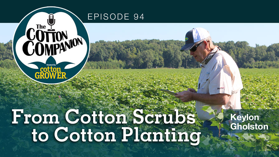 From Cotton Scrubs to Cotton Planting