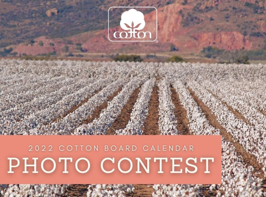 Cotton Board Contest Searching for Calendar Photos