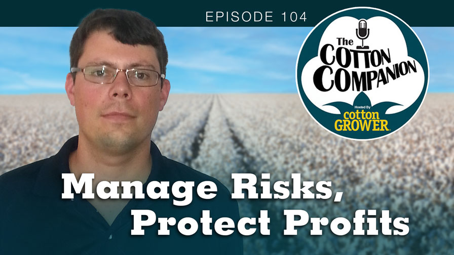 Manage Risks, Protect Profits