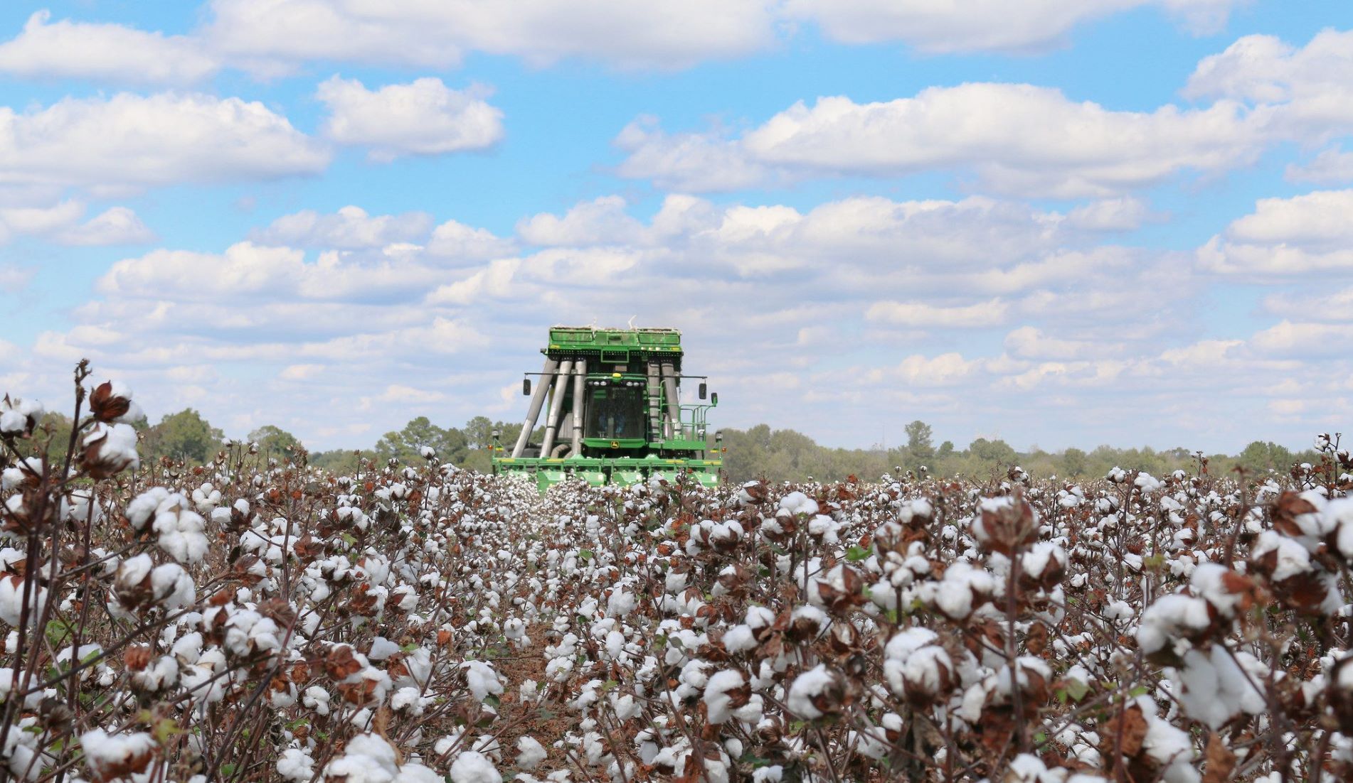 Crop Progress: First Harvest Reports In