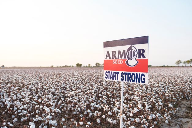 Consistent Variety Performance is Paying Dividends for Armor