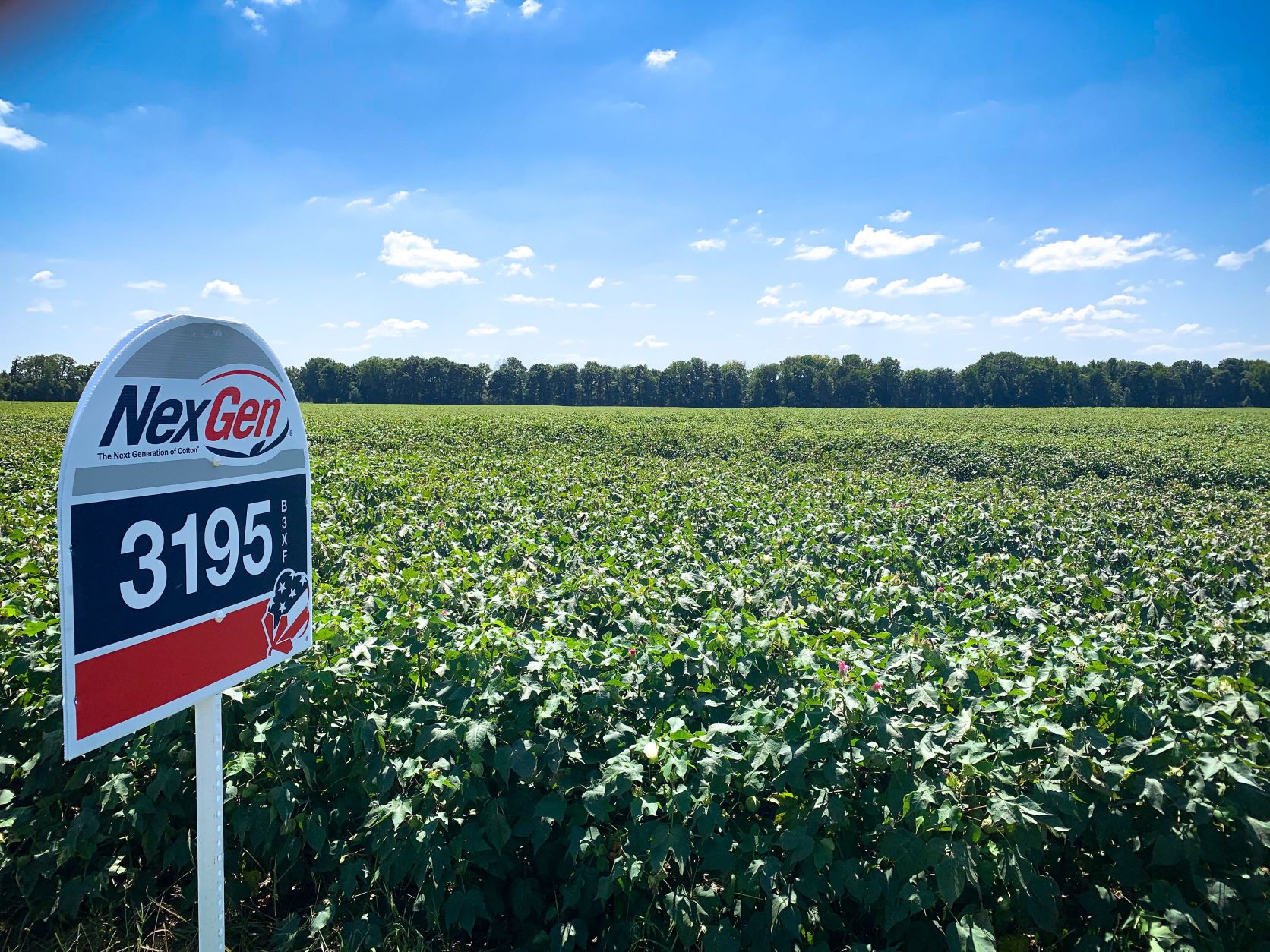 NexGen Building a Reputation for Superior Fiber Quality, Plus Yield