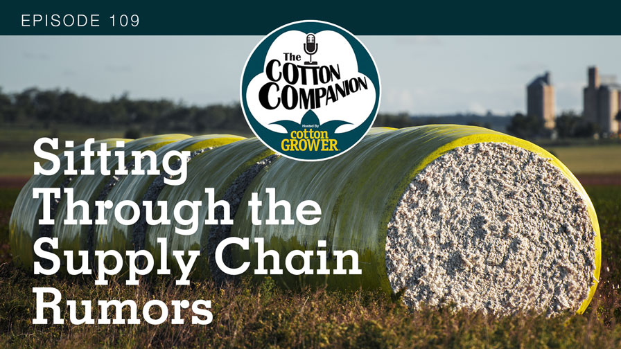 Cotton Companion Podcast: Sifting Through the Supply Chain Rumors