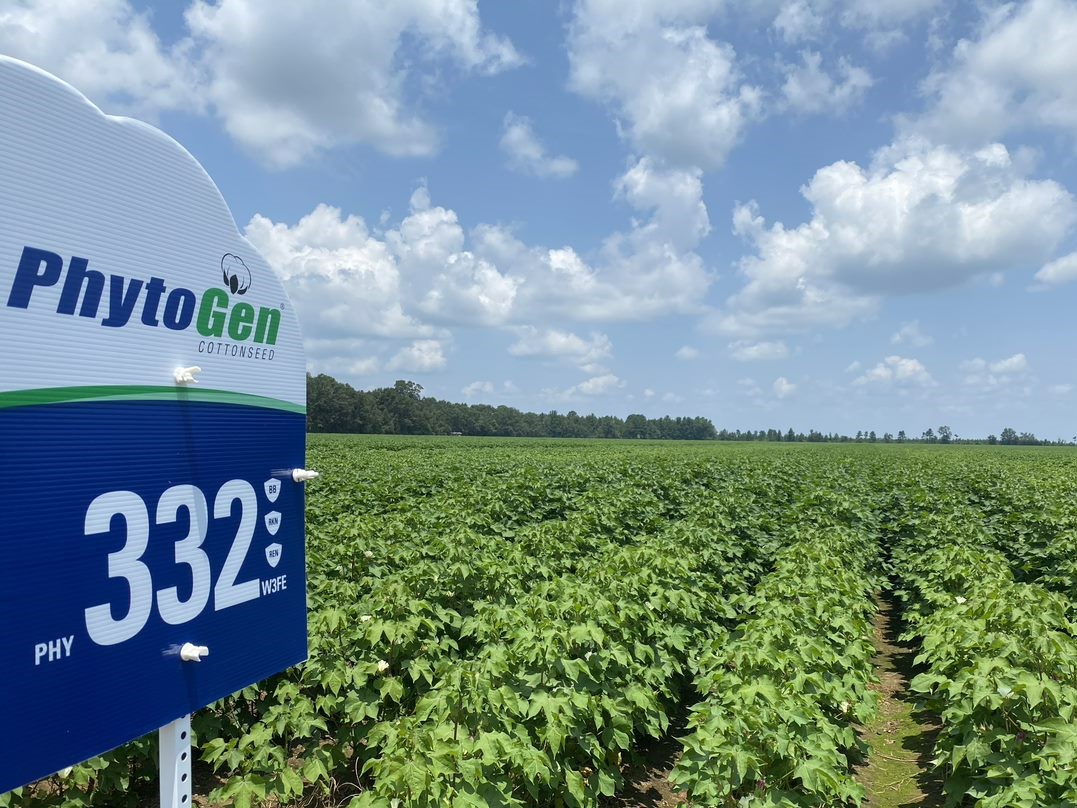 PhytoGen Focused on Breeding Traits