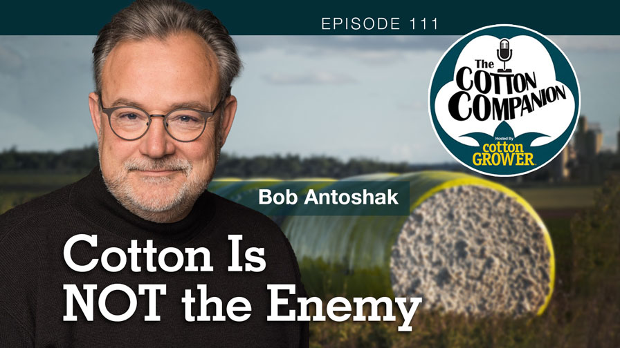 Cotton Is NOT the Enemy