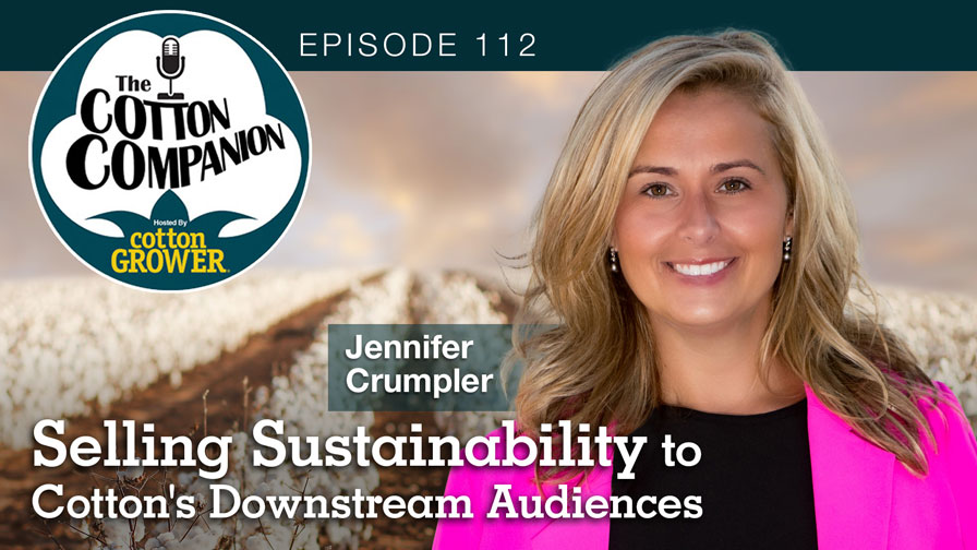 Selling Sustainability to Cotton’s Downstream Audiences