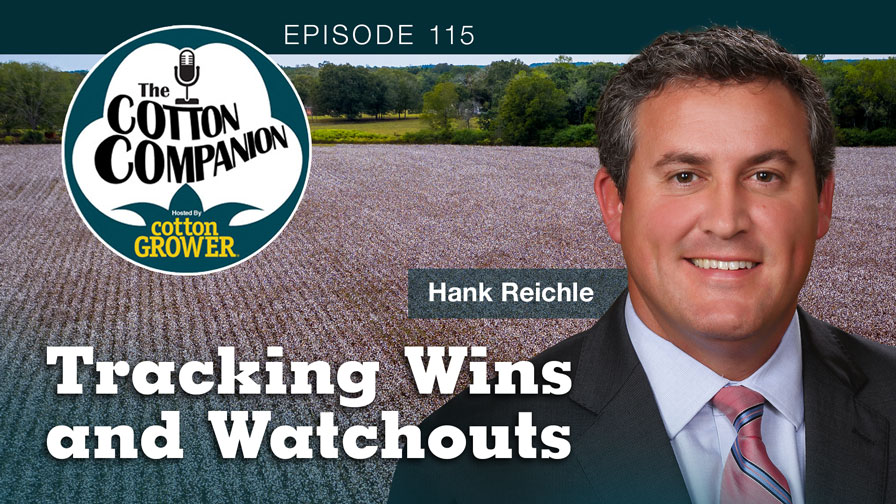 Tracking Wins and Watchouts
