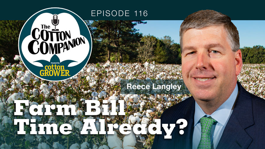 Farm Bill Time Already?