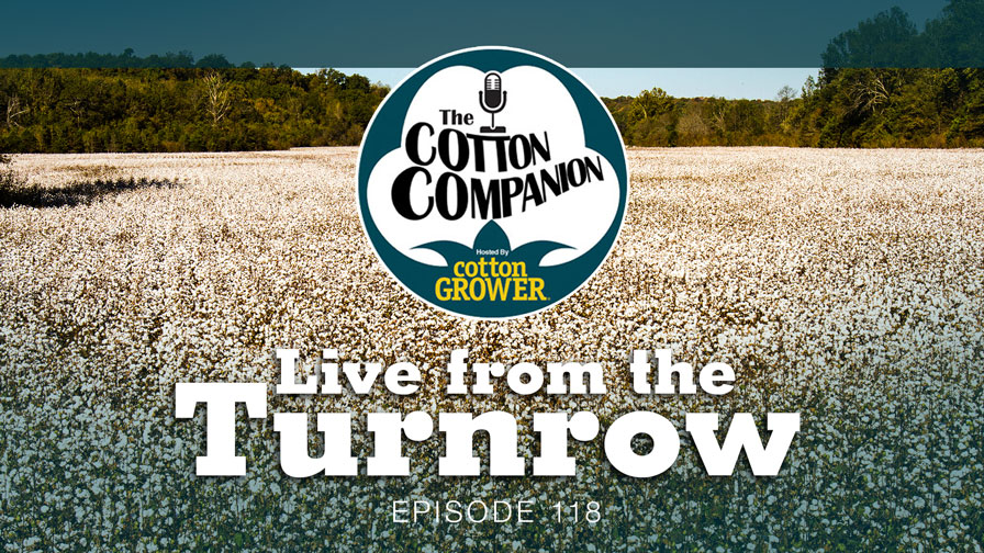 Live from the Turnrow