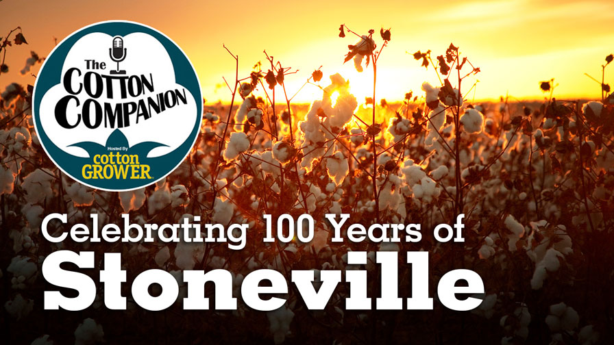 Celebrating 100 Years of Stoneville