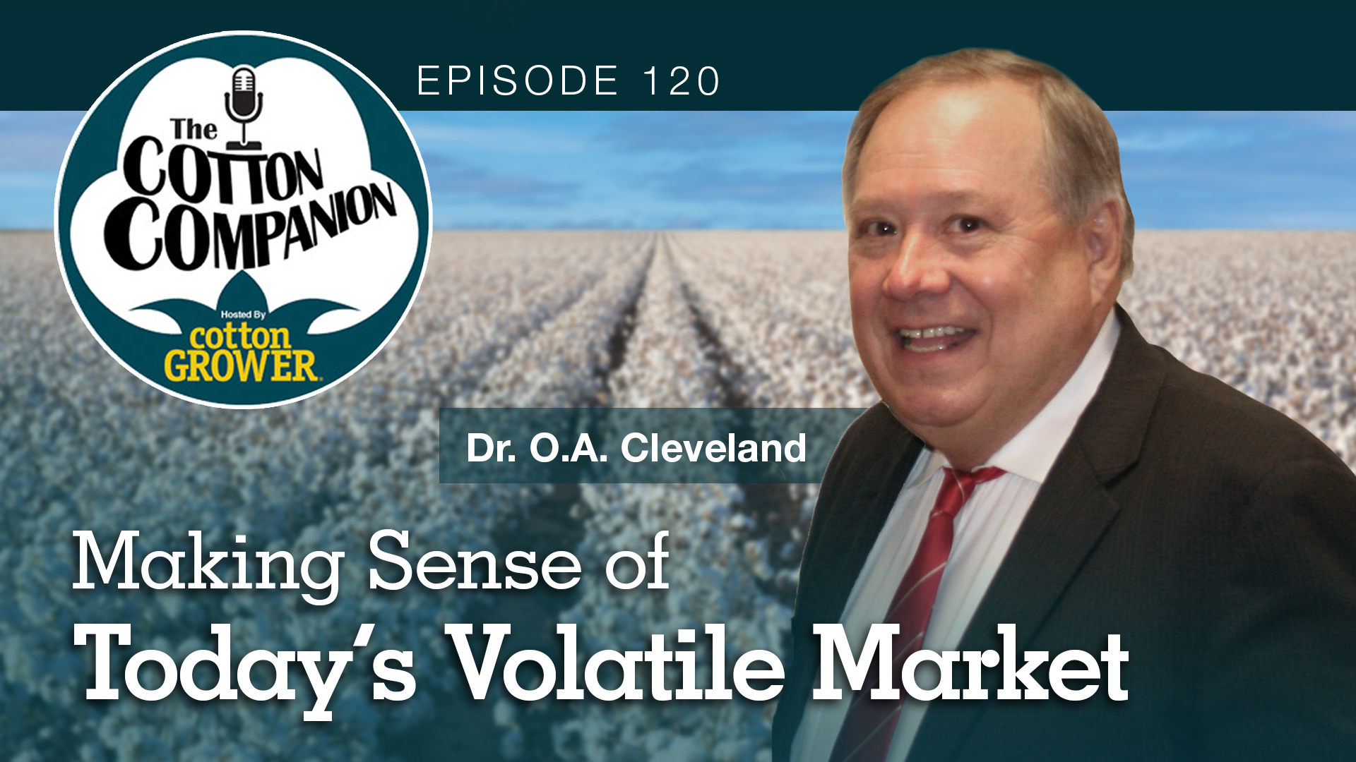 Making Sense of Today’s Volatile Market