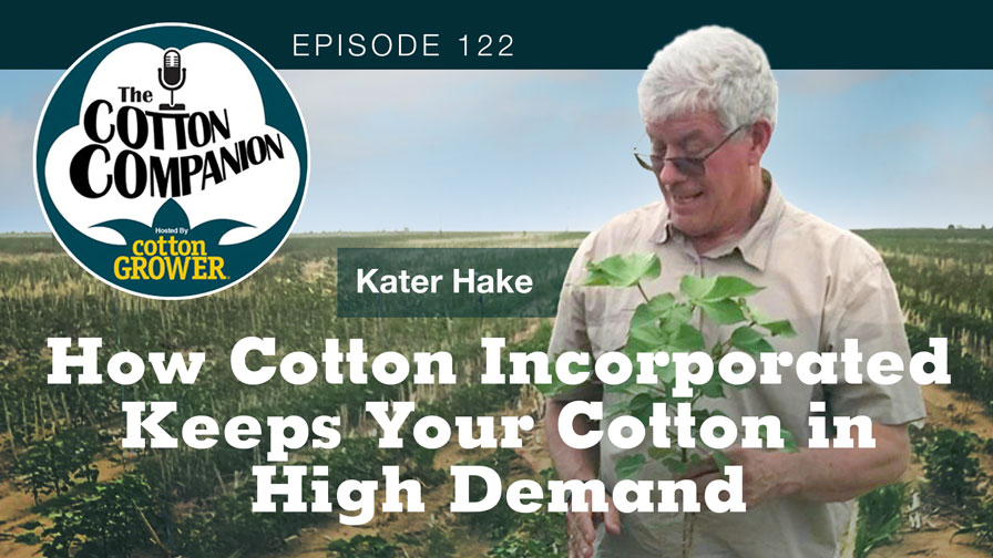 How Cotton Incorporated Keeps Your Cotton in High Demand