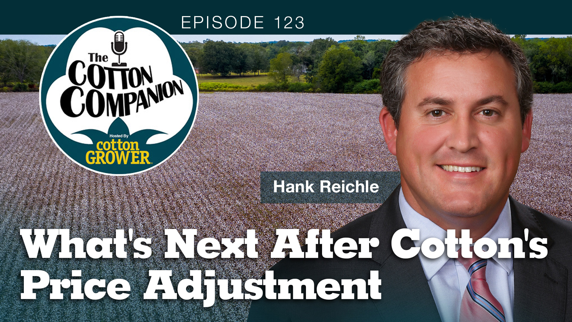 What’s Next After Cotton’s Price Adjustment?