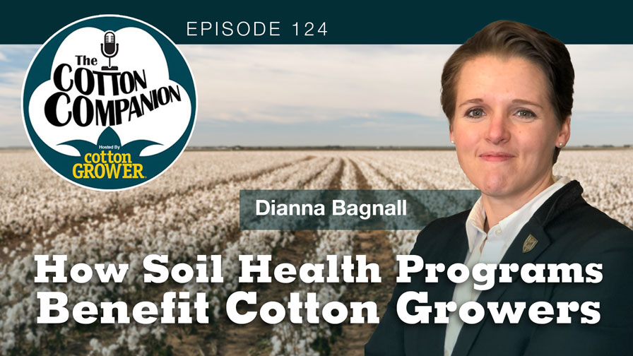 How Soil Health Programs Benefit Cotton Growers