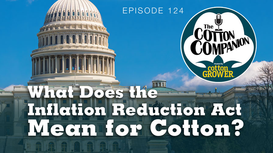 What Does the Inflation Reduction Act Mean for Cotton?