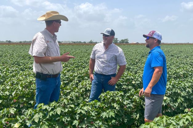 Farming Through the Drought in Southeast Texas