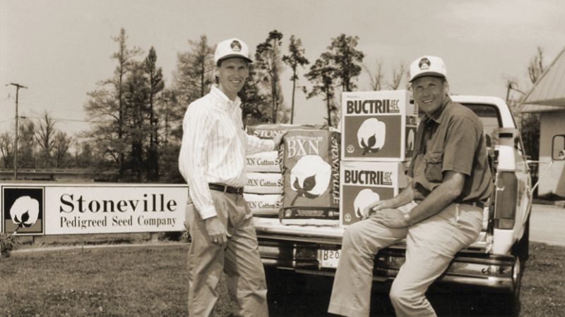 STONEVILLE® IN THE 1990s: WHERE NO ONE HAD GONE BEFORE