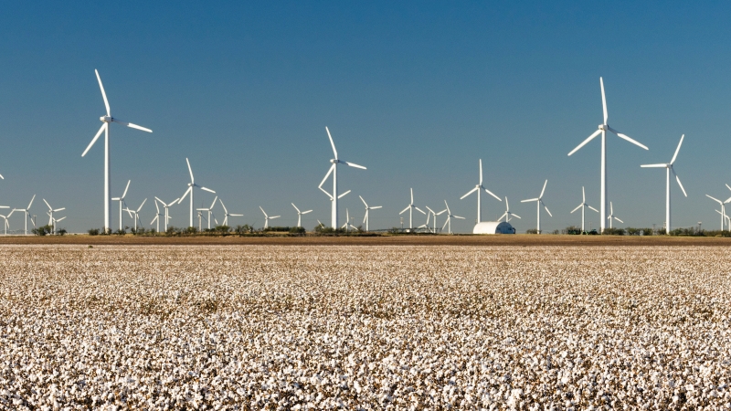 TRACEABLE AND TRANSPARENT: THE e3® SUSTAINABLE COTTON PROGRAM BY BASF