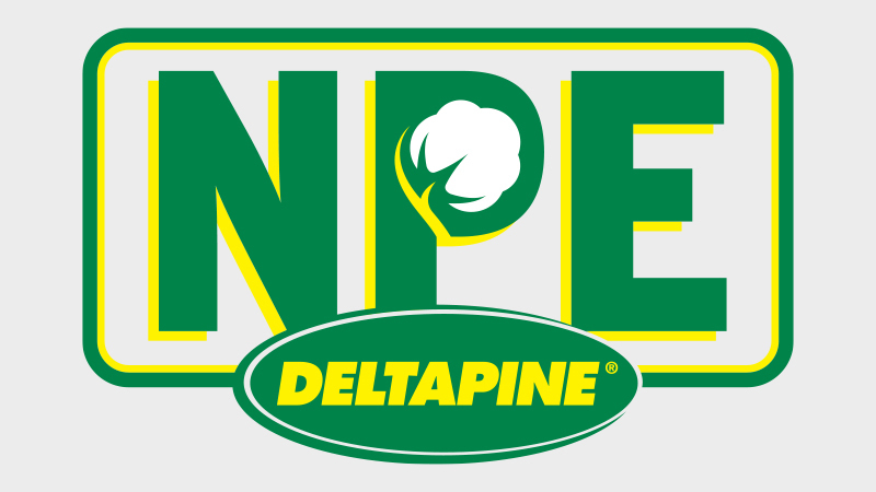 Deltapine Announces Grower-Proven Class of ’23 Cotton Varieties