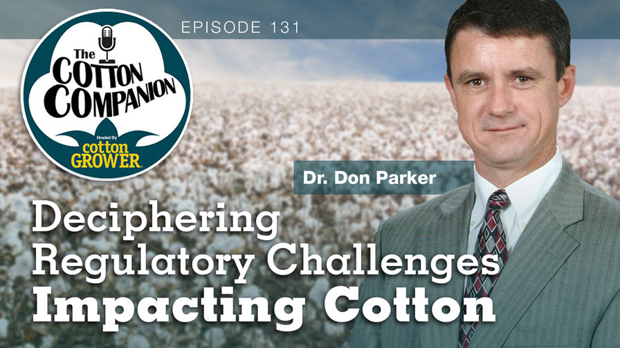 Cotton Companion Podcast: Deciphering Regulatory Challenges Impacting Cotton