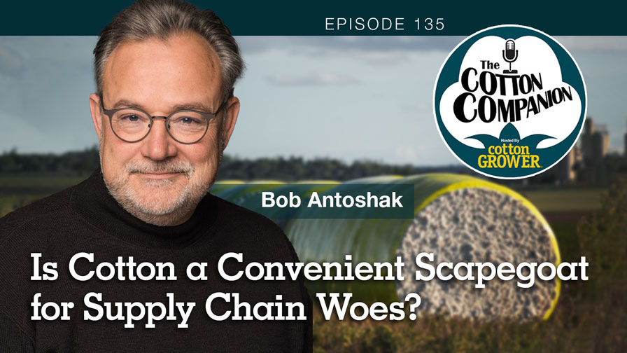 Cotton Companion Podcast: Is Cotton a Convenient Scapegoat for Supply Chain Woes?