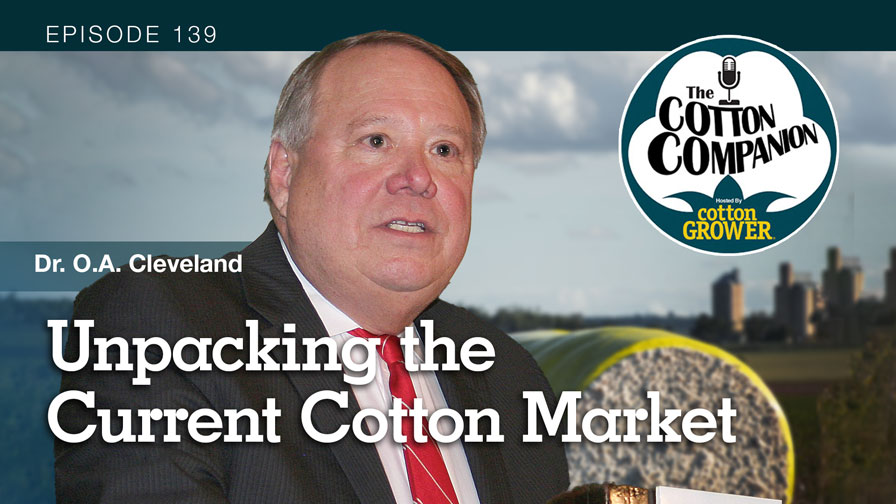 Cotton Companion Podcast: Unpacking the Current Cotton Market