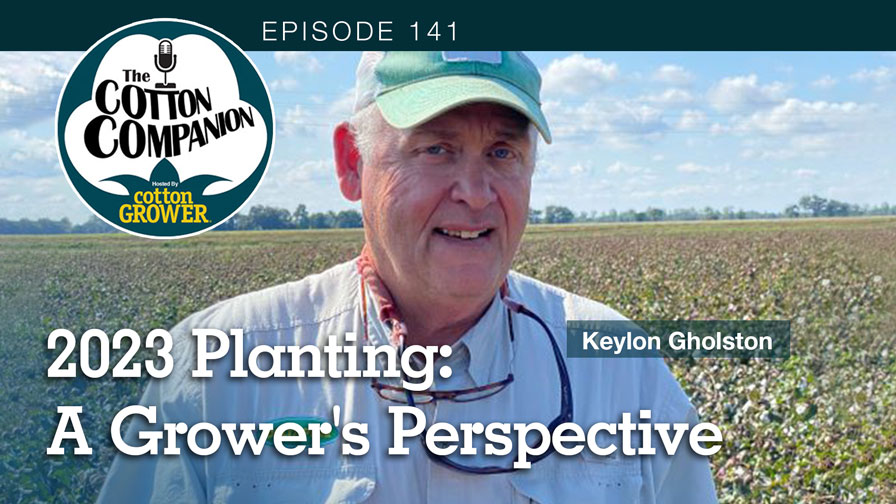 Cotton Companion Podcast – 2023 Planting: A Grower’s Perspective