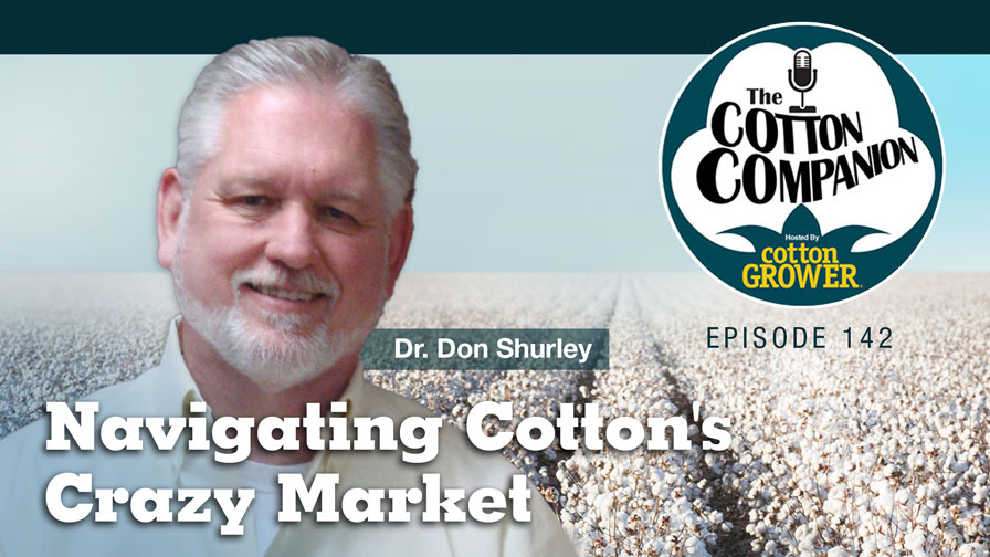 Cotton Companion Podcast: Navigating Cotton’s Crazy Market