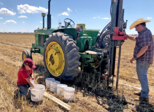 Take Advantage of Existing Nutrients with Deep Soil Testing