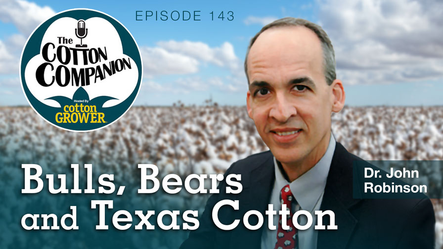 Cotton Companion Podcast: Bulls, Bears and Texas Cotton