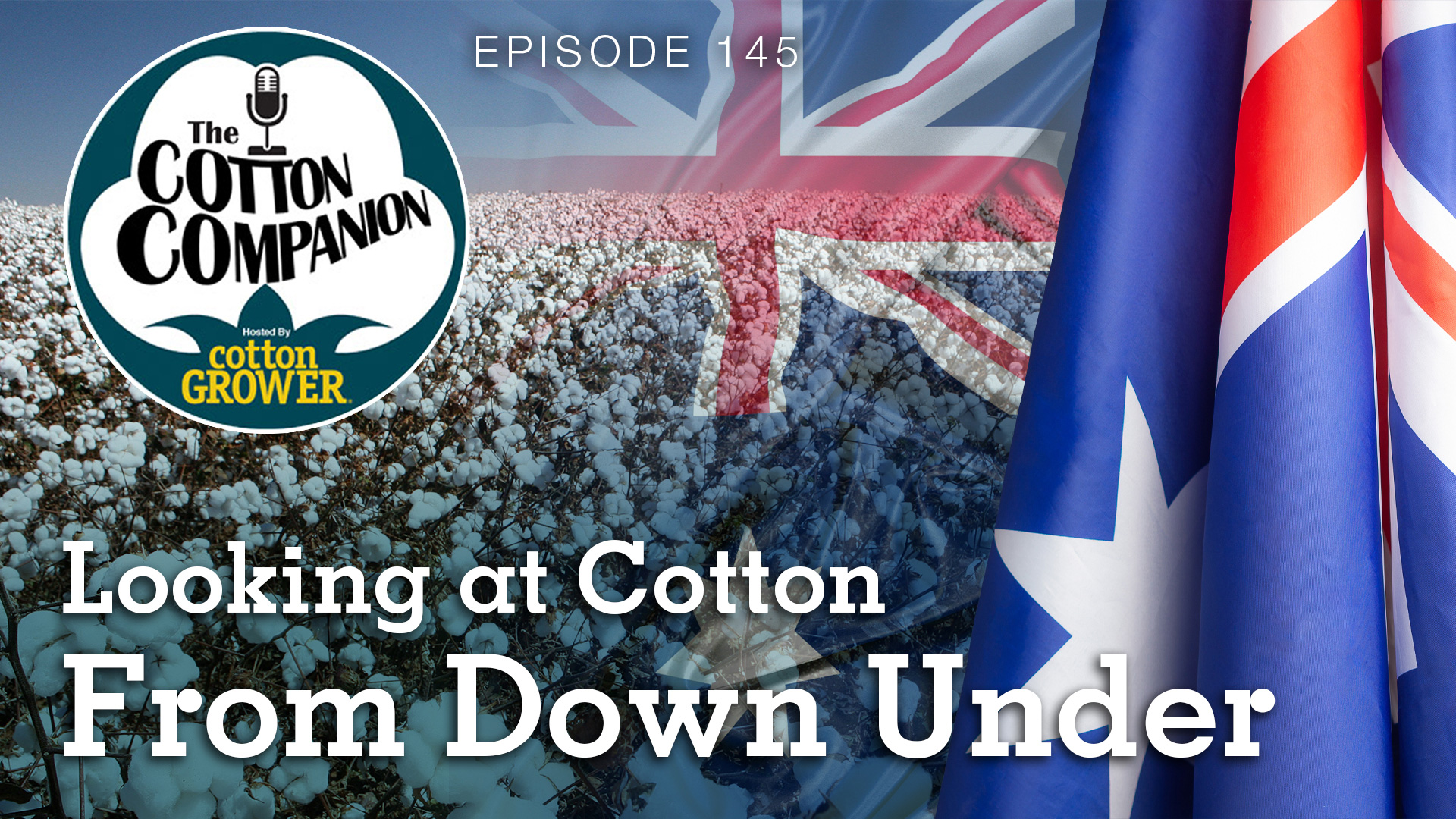 Looking at Cotton From Down Under