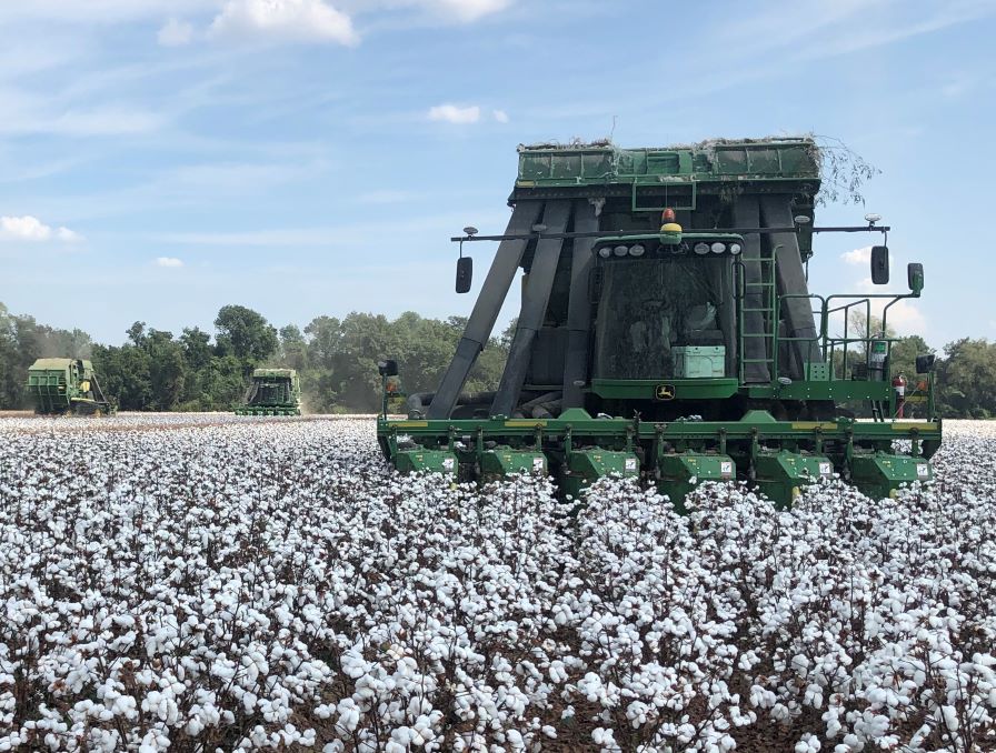 Time To Be Harvest Ready