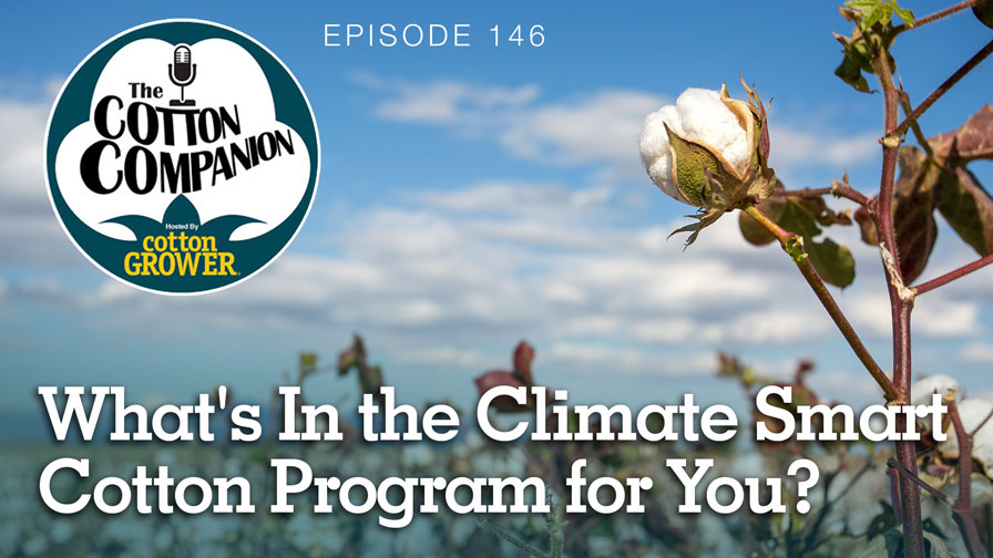 What’s In the Climate Smart Cotton Program for You?
