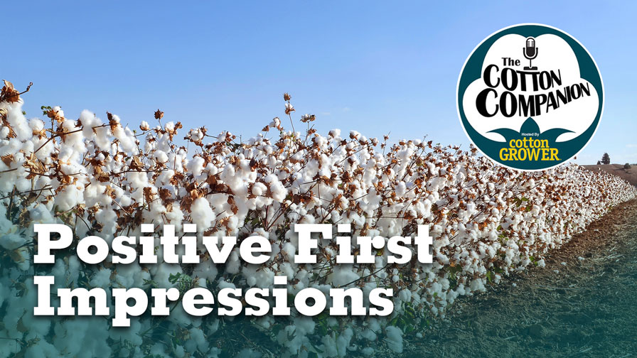 Positive First Impressions