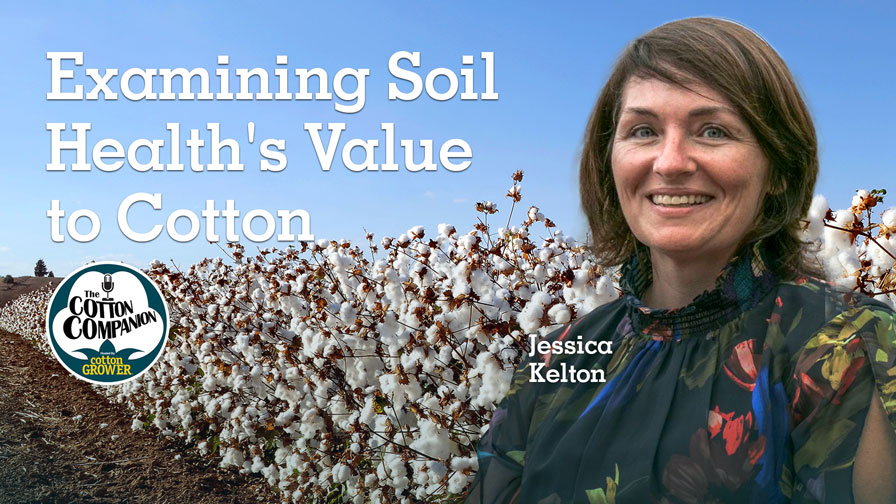 Cotton Companion Podcast: Examining Soil Health’s Value to Cotton