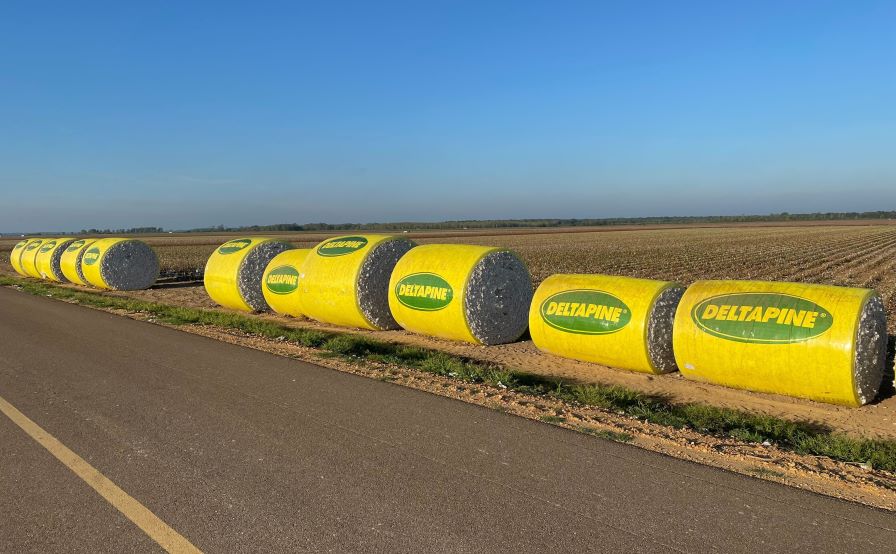 Tama USA and Deltapine Partner for Branded Module Wrap for NPE Growers