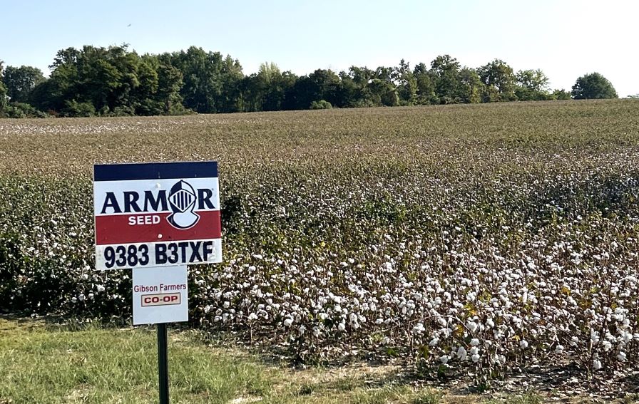 Armor Looking for Expanded Product Line and New Geographies