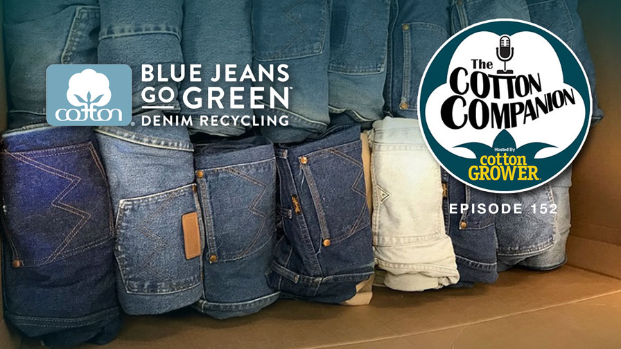 Cotton Companion Podcast: Finding New Life and New Uses for Old Cotton