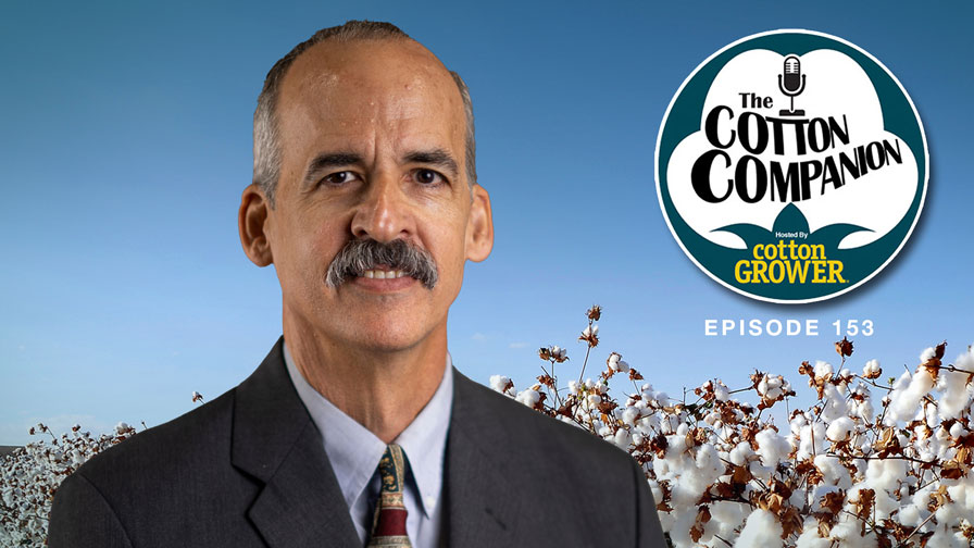 Cotton Companion Podcast: Sliding Into 2024?