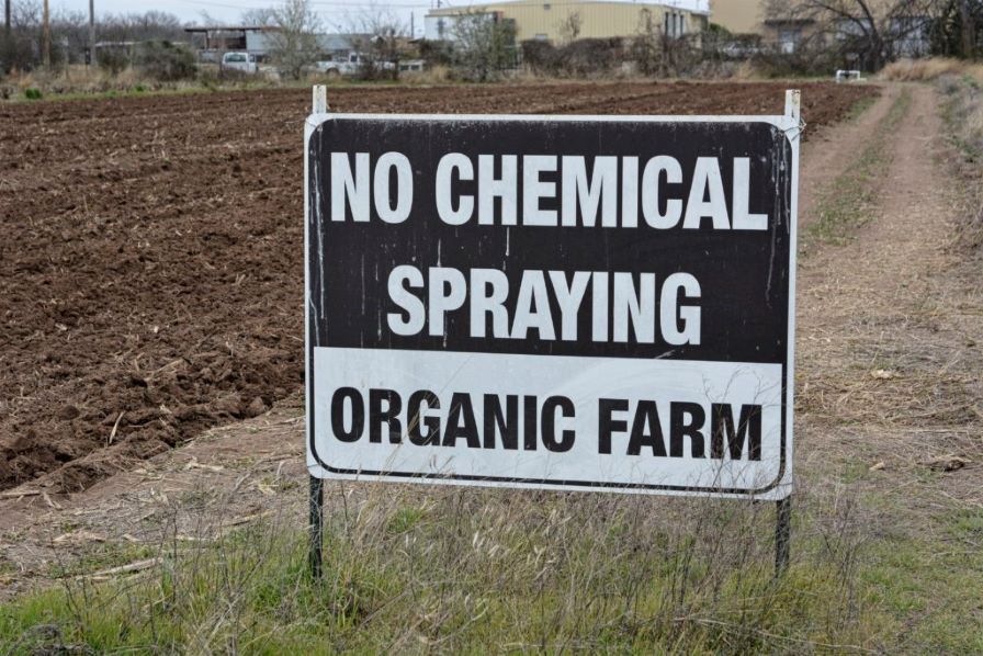 Driving to Make the U.S. a Leader in Organic Cotton