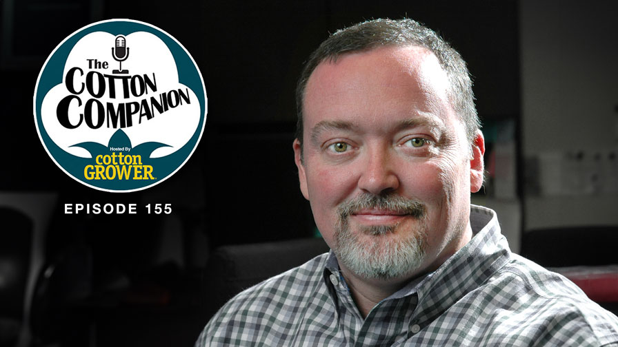 Cotton Companion Podcast: Wrapping Up 2023; Looking Ahead to 2024