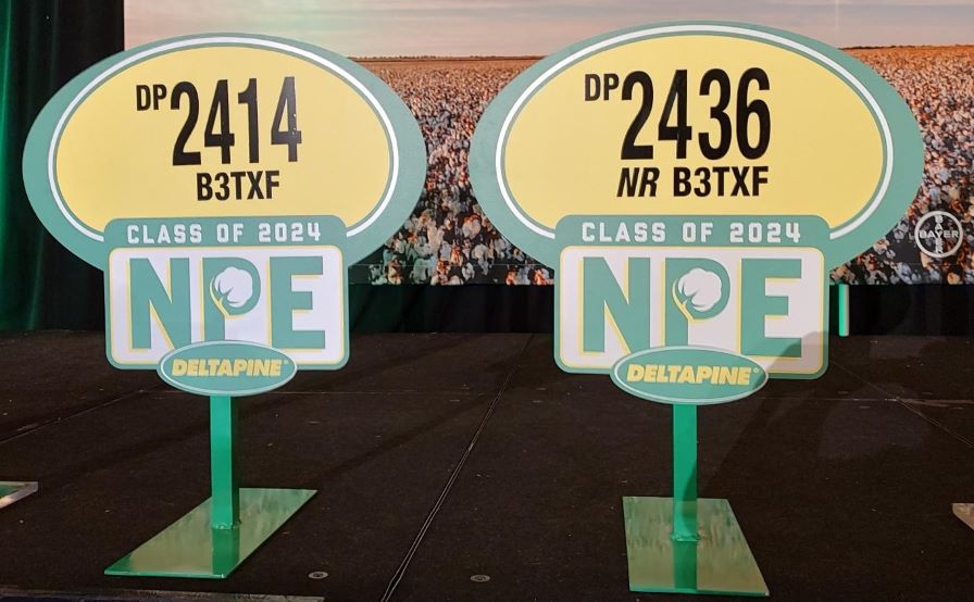Deltapine Launches Its Class of ’24 with Two New B3TXF Varieties