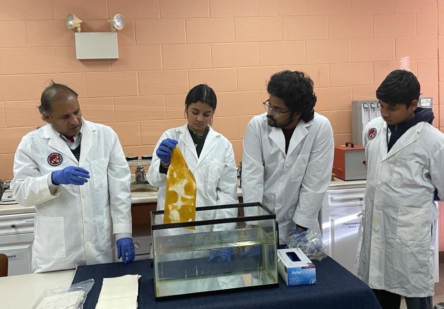 Promoting Cotton Research, Outreach and Entrepreneurship