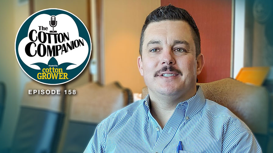 Cotton Companion: Meet the 2023 Cotton Marketer of the Year