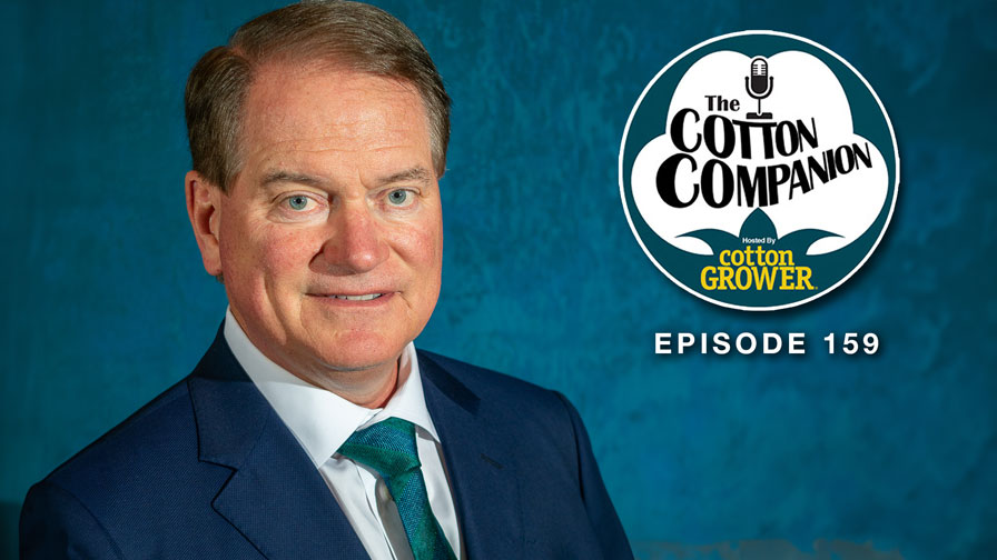 Cotton Companion: Facing Cotton’s Current and Continuing Challenges