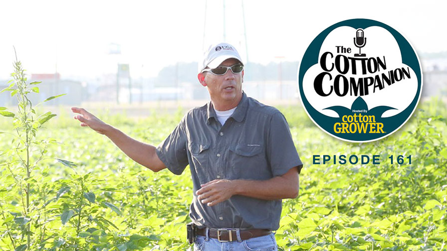 Cotton Companion: Adjusting to New EPA Adjustments