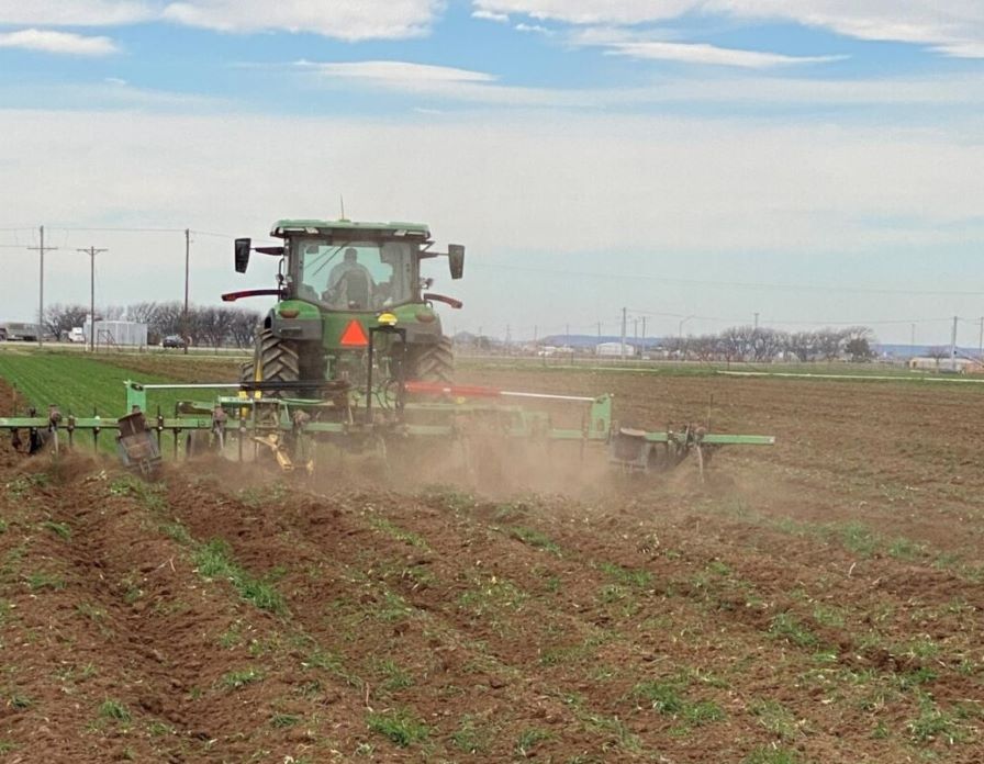 Texas A&M AgriLife and SRPCGA Team Up for Research Farm